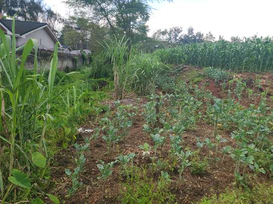 Land in Ridgeways image 5