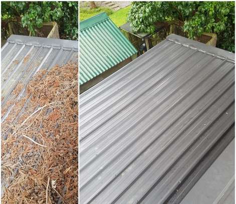 Mould and Lichen Removal (Outdoors) Services.Get Free Quote Now ! image 3