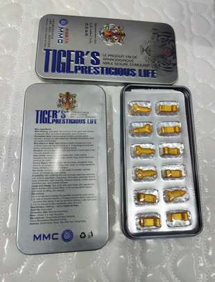 Tiger's prestigious life image 1