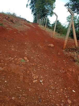 50 by 100 plots in Lussigeti kikuyu area image 2