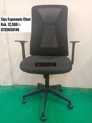 Ergonomic Office Chair image 1