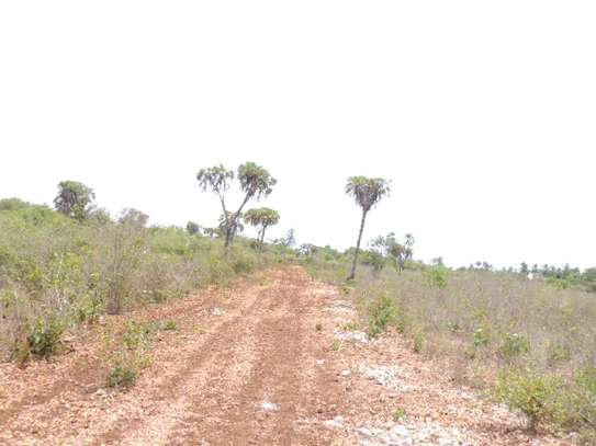 0.25 ac Residential Land at Diani Beach Road image 5