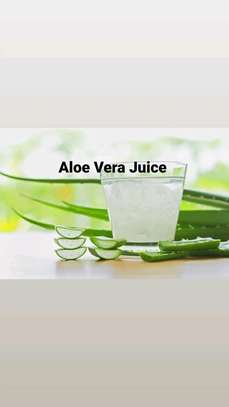 Aloe Vera Juice image 2
