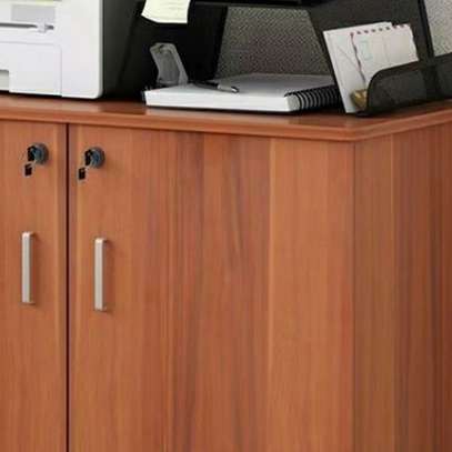 Storage Unit: 2 Door Mobile Credenza Cabinet For Filing image 2