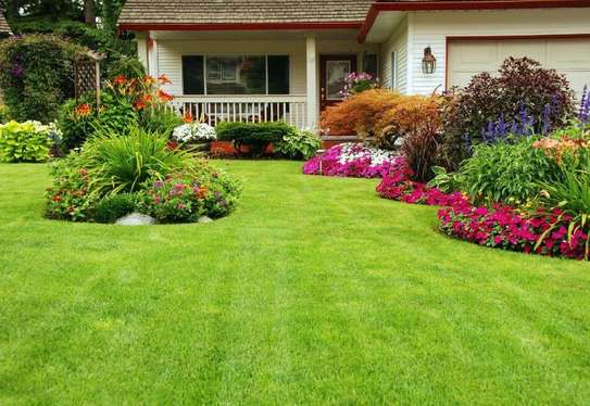 Professional Lawn Aeration Services.Lowest price guarantee.Get a Free Quote Today! image 1