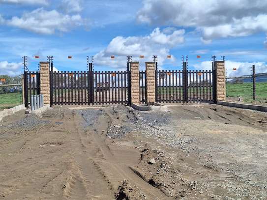 0.5 Acre land For Sale in Naivasha,Kedong ranch image 1