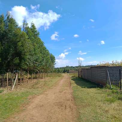 1/4 plot for sale at Limuru Ndeiya 100m from tarmac. image 7