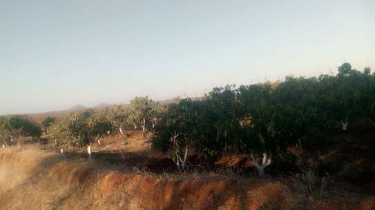143 Acres of Developed Farm Land in Mutomo Kitui Is for Sale image 4