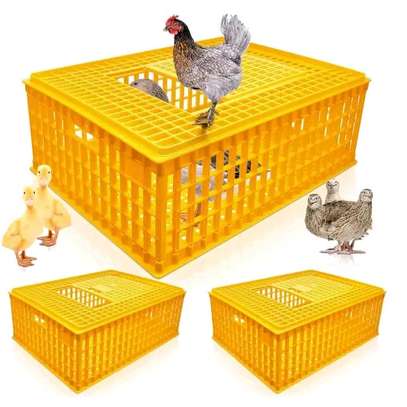 Chicken transport cage image 3
