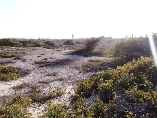 6 Acres beachfront land  for sale in Mambrui,Malindi image 4