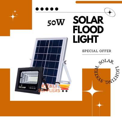 50W Solar floodlight special offer image 1