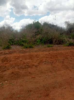 218 Acres Touching Galana River In Kilifi Is For Sale image 5