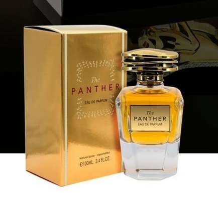 THE PANTHER, EDP/100ML, BY FRAGRANCE WORLD image 1