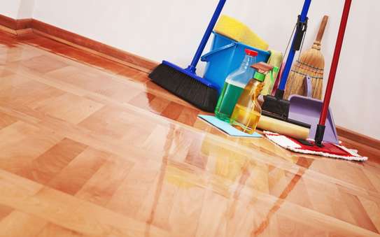 Are you looking for: House Cleaning  Floor Cleaning , Post Renovation Cleaning,  Move Out Cleaning,  Curtain Cleaning , Tile Grout Cleaning and more ? image 13