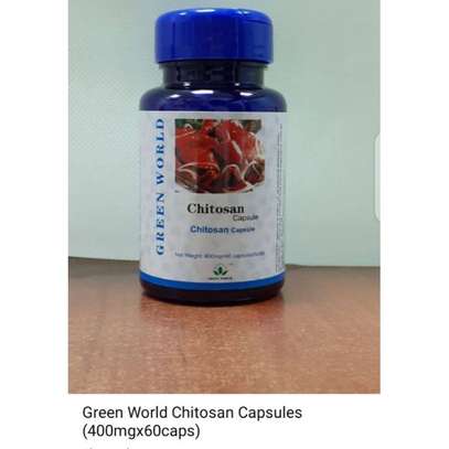 Green World Chitosan Plus Capsule (400mg×60 caps) image 1