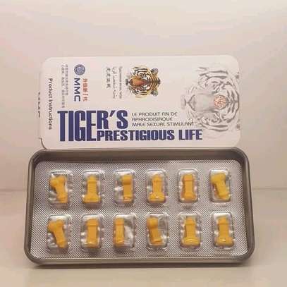 Tiger's prestigious life image 2