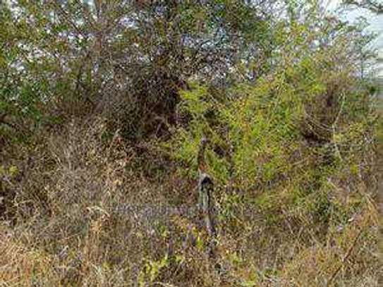 5 Acres red soil land for sale image 3