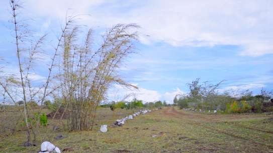 0.25 ac Land at Off Namanga Road image 20