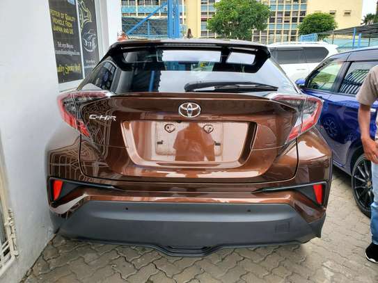 C-HR image 10