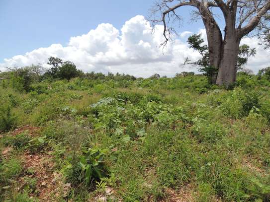 1,012 m² Residential Land at Diani Beach Road image 1