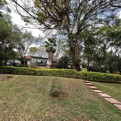 Commercial Property with Fibre Internet in Lavington image 2