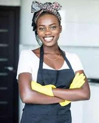 BEST CLEANERS Runda,Riverside,Red Hills,Parklands,Pangani image 10