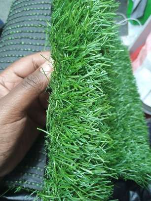 sustainable style; grass carpet image 2