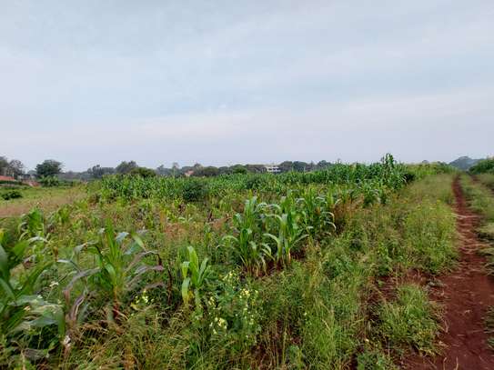 Residential Land at Kirawa Road image 18