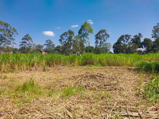 0.5 ac Land in Ridgeways image 1