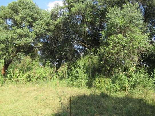 9 ac Land at Karen image 6