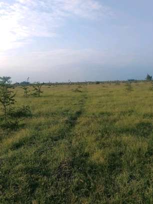 3 (50 by 100)  fertile land plots in Kamulu image 10