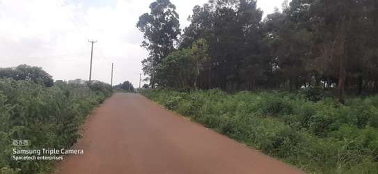 Land in Redhill image 21