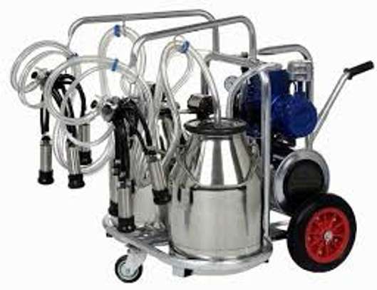 Milking machine suppliers in Kenya image 1