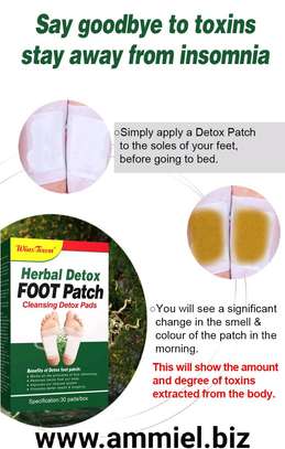 Wins Town Herbal Detox FOOT Patch 30 Pads image 8