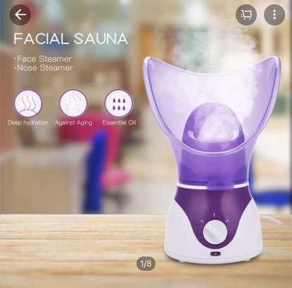 Face and  nasal steamer image 4