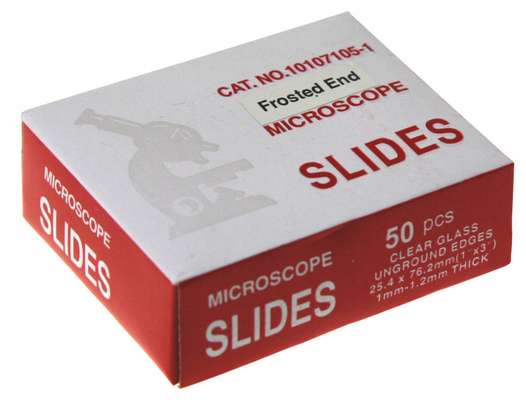 microscope slides image 1