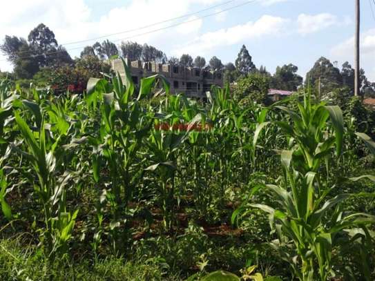 250 m² Commercial Land in Kikuyu Town image 3