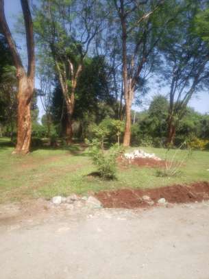 Beautiful Half Acre Land in Karen image 2