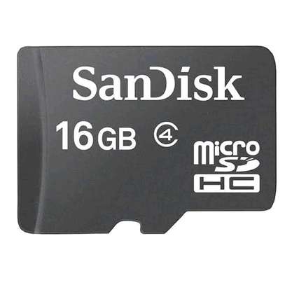 SanDisk 16GB microSDHC Memory Card image 2