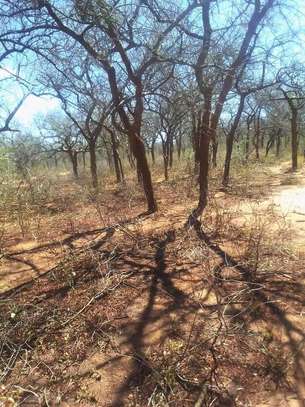 70 acres along Makindu-Wote Rd Makueni County image 8