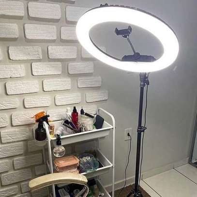 10 inch Ringlight +2.1m stand image 3