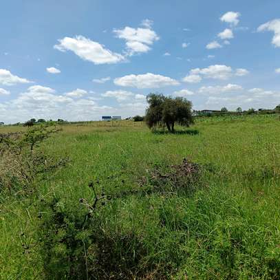 Land for sale in isinya image 4