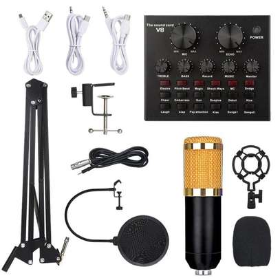 V8 Sound Card Professional Microphone Studio Condenser image 1