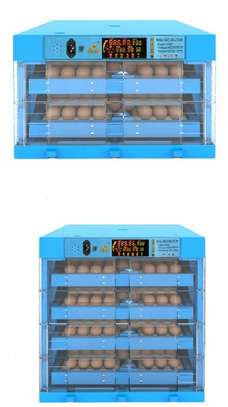 Get The Best and Affordable Egg Incubators image 3