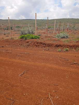 50 by 100 plots for Sale located in Nachu, Gatune. image 2