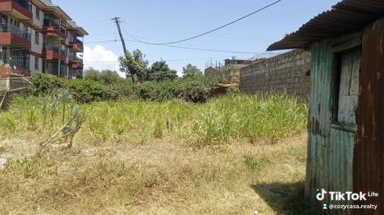 Land for sale in Rironi (50*100) image 1