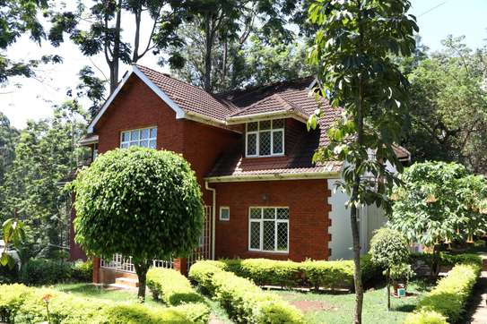5 Bed House with Swimming Pool in Rosslyn image 25