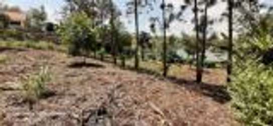 Prime 1/4 an acre for sale in Kerarapon image 2