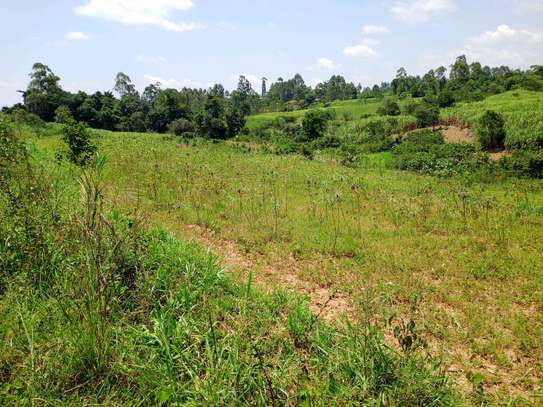 Prime 3 Acre Land For Sale in Shihome,Malava , Kakamega image 3