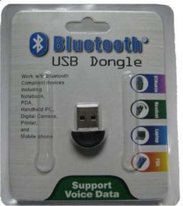 Bluetooth USB Dongle image 1